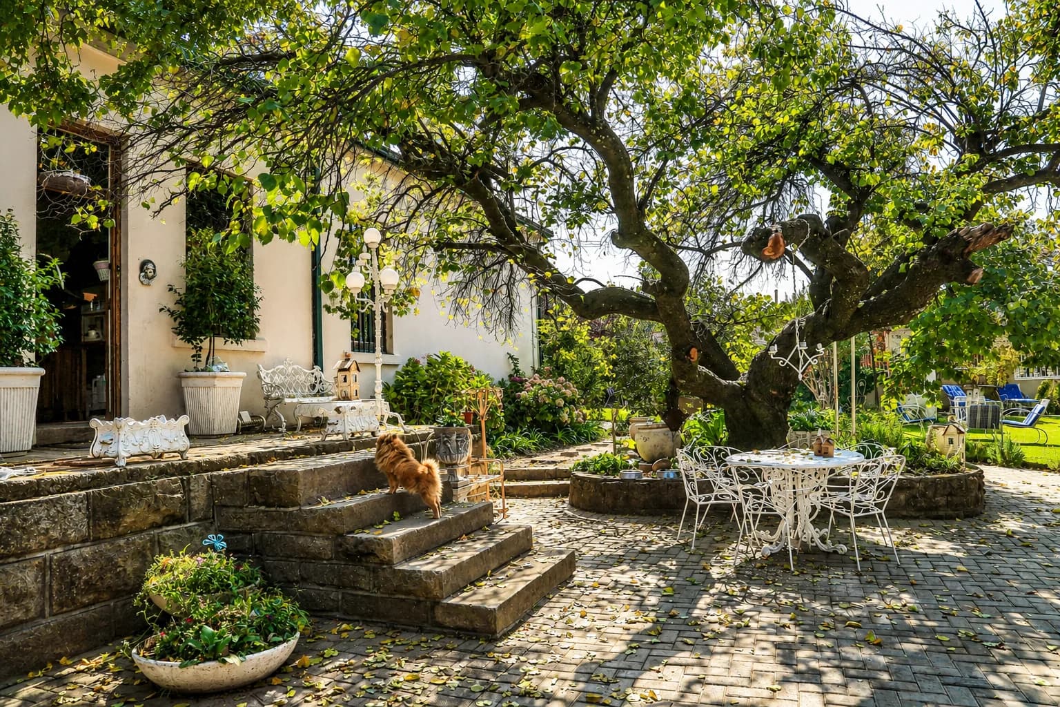 The Green Acorn Guest House