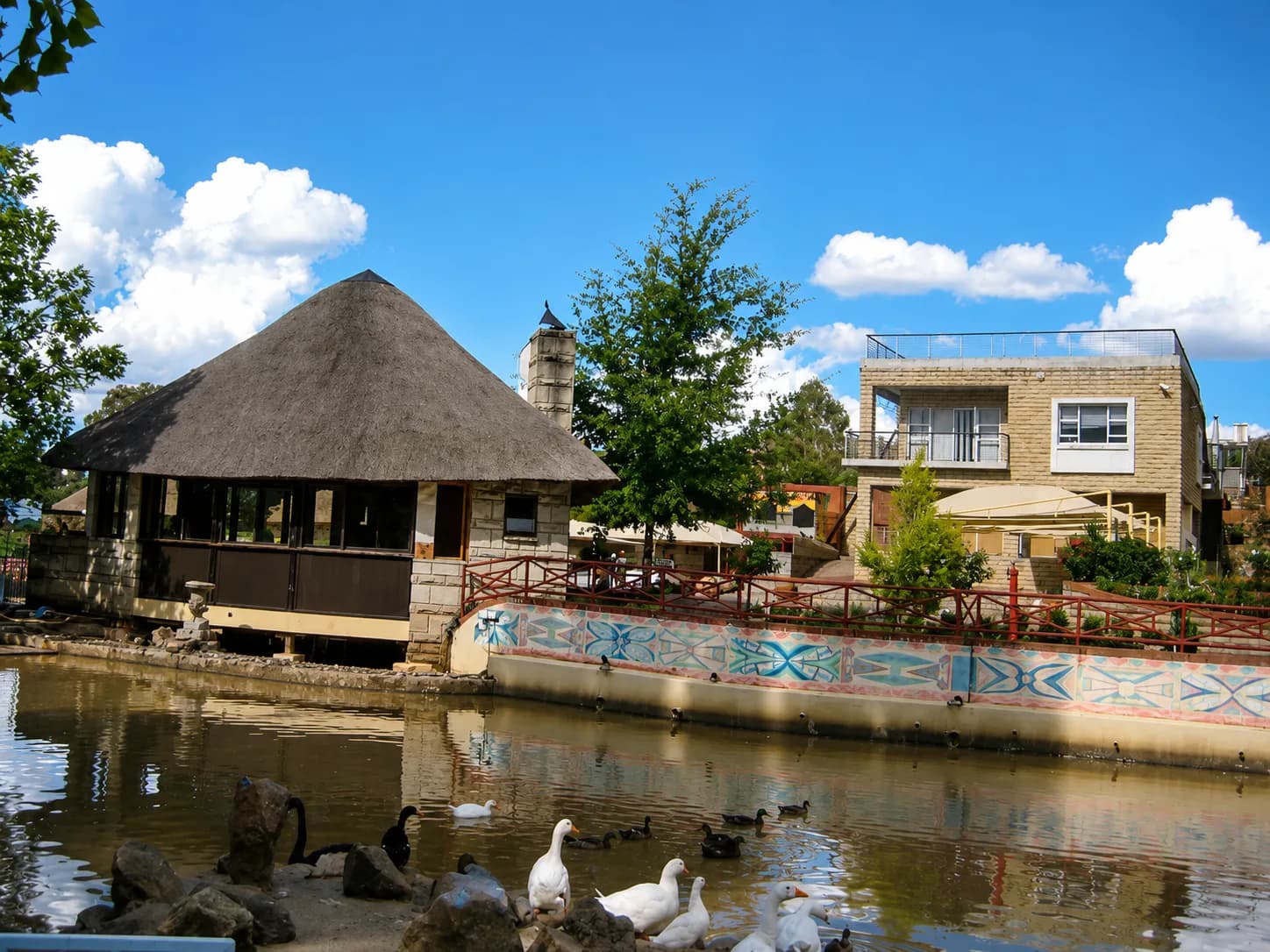 Black Swan Guesthouse
